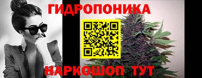 прущие грибы Краснознаменск
