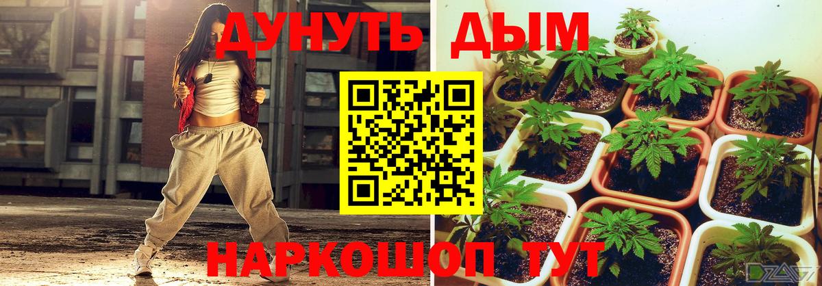 Шишки марихуана Ganja Кировск